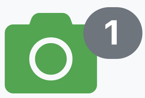 Green Camera Icon.png
